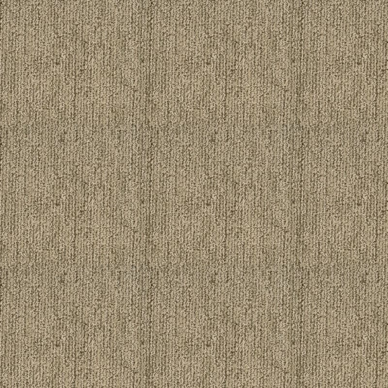 Mesa Bella carpet by Masland