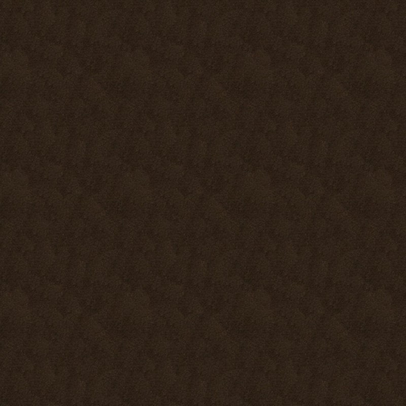 Silk Touch carpet by Masland