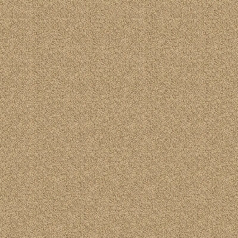Morgan Bay carpet by Masland