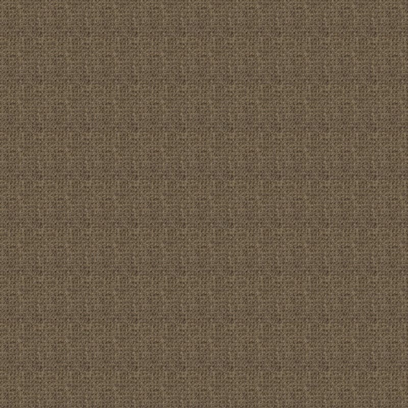 Etchings carpet by Masland