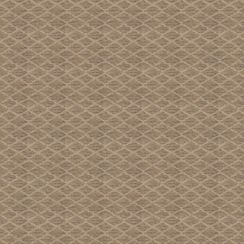 Mantra carpet by Masland