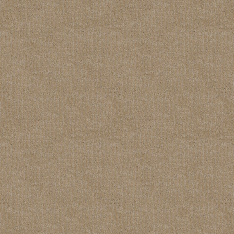 Style Sense carpet by Masland