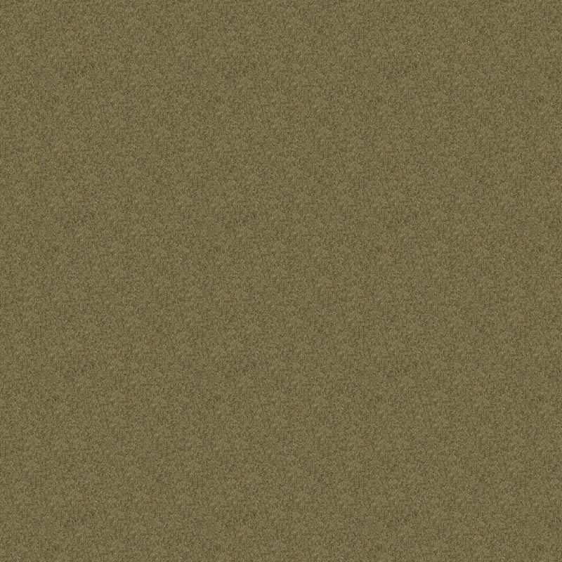 Key West carpet by Masland