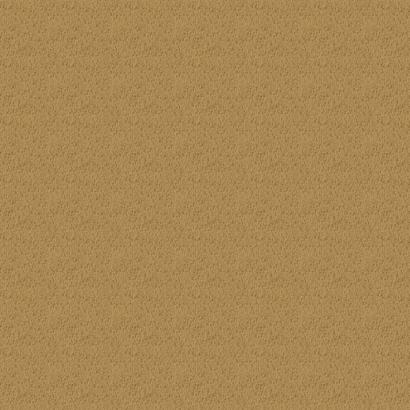 Novellino carpet by Masland