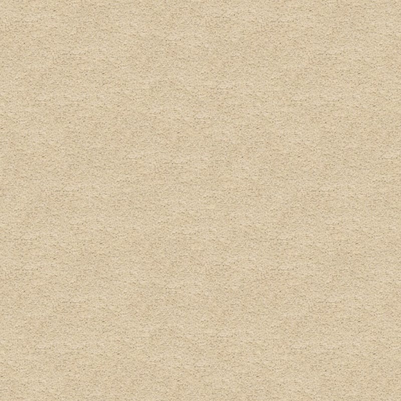 Knockout carpet by Masland