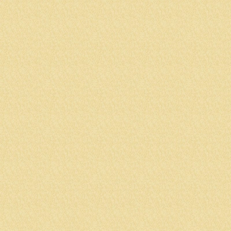 Morgan Bay carpet by Masland