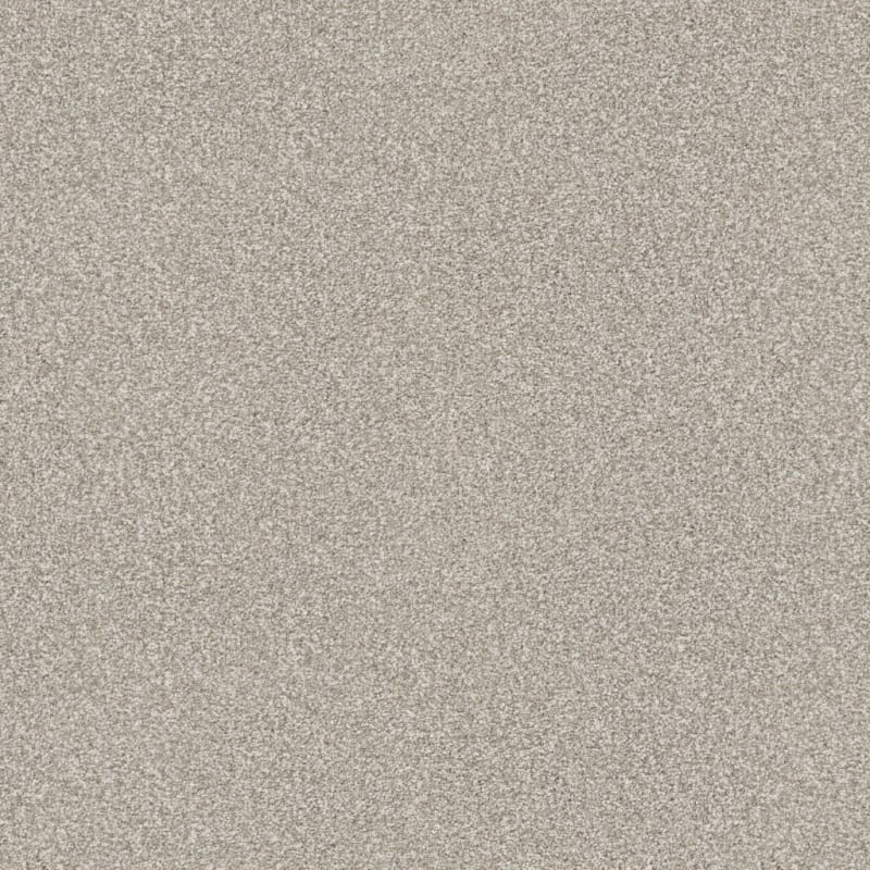 Tracker carpet by Masland