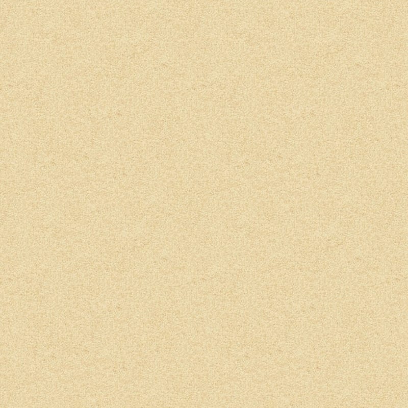 Vero Beach carpet by Masland