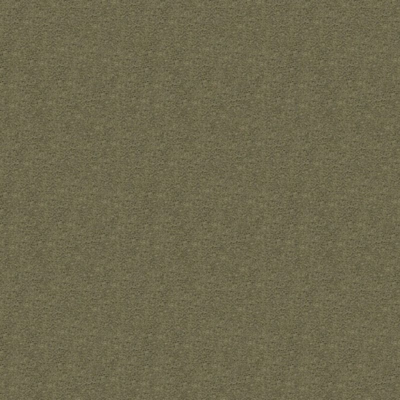 Embrace carpet by Masland
