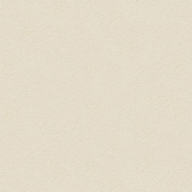 Knockout carpet by Masland