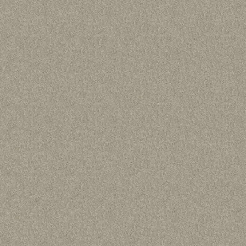 Miami carpet by Masland