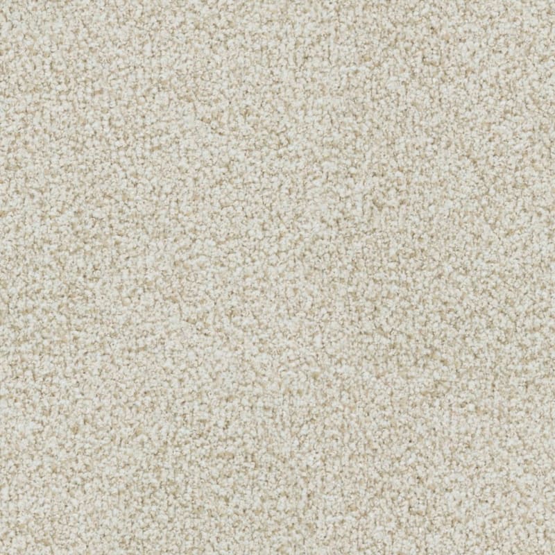 St. Augustine carpet by Masland