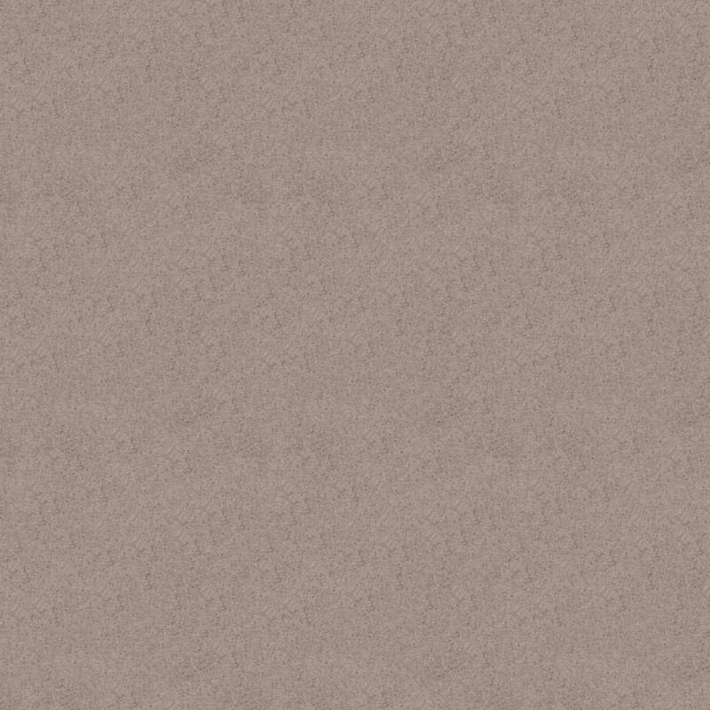 Embrace carpet by Masland