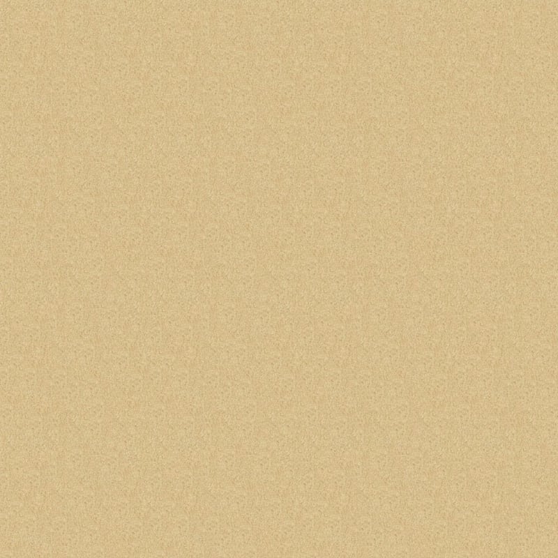 Key West carpet by Masland