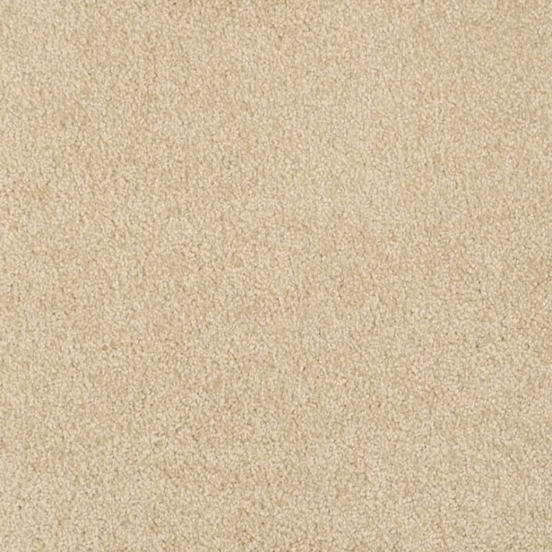 Miami carpet by Masland