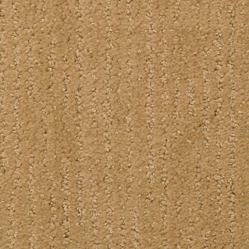 Nature'S Essence carpet by Masland