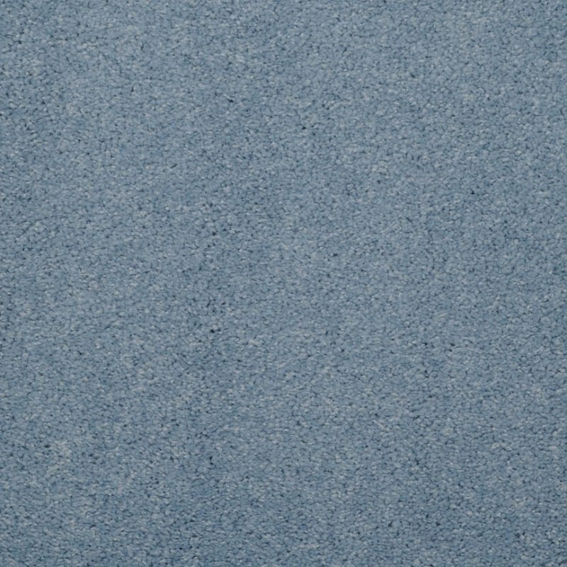 Embrace carpet by Masland
