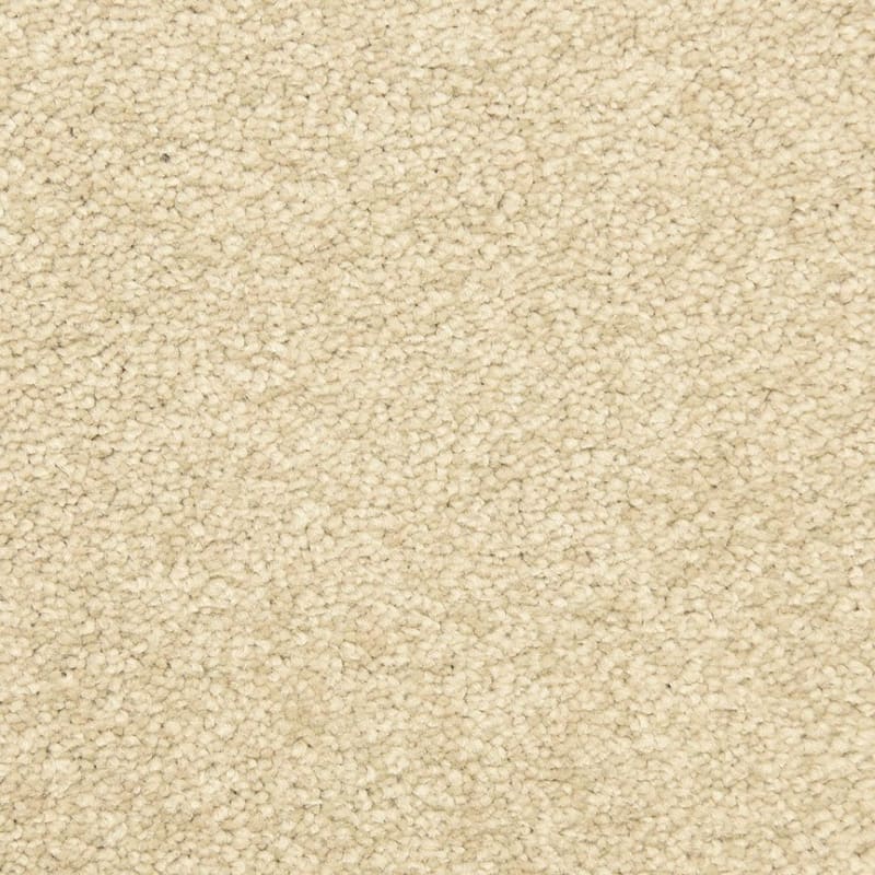 Morgan Bay carpet by Masland