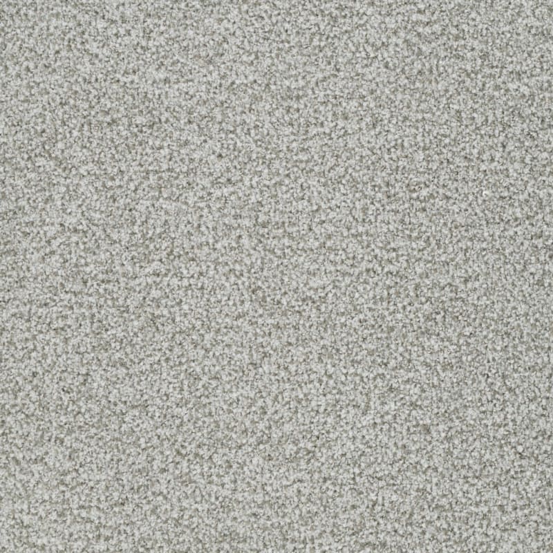 St. Augustine carpet by Masland