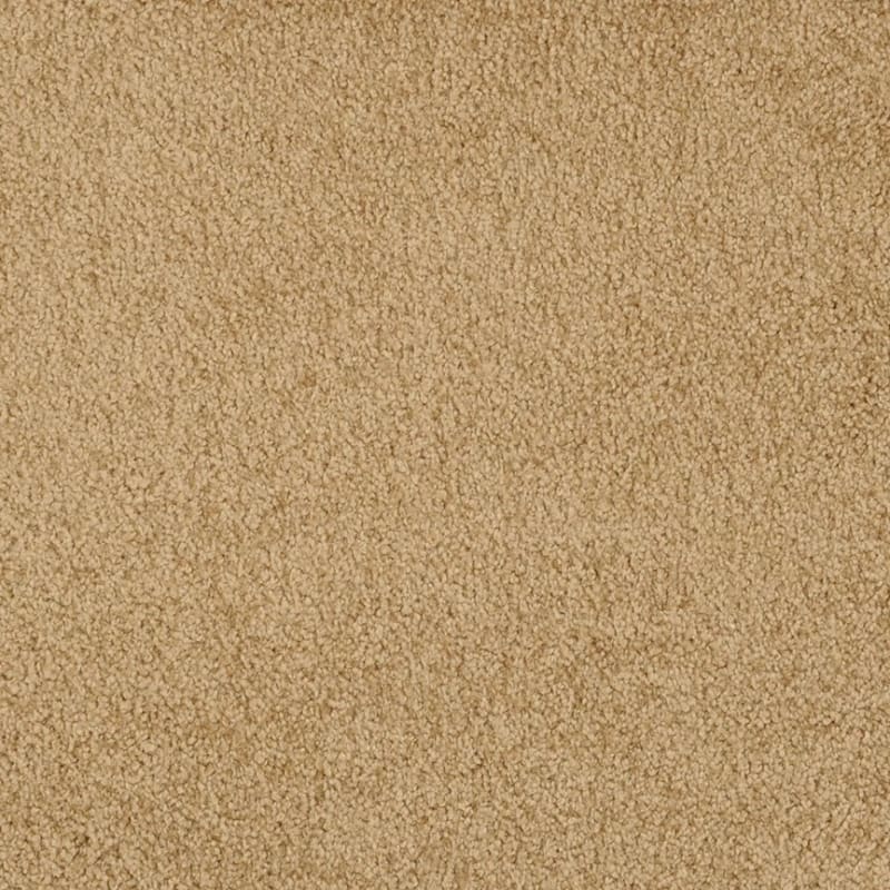 Miami carpet by Masland