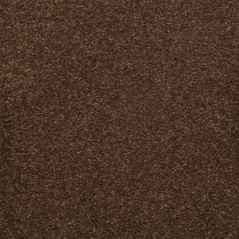 Embrace carpet by Masland