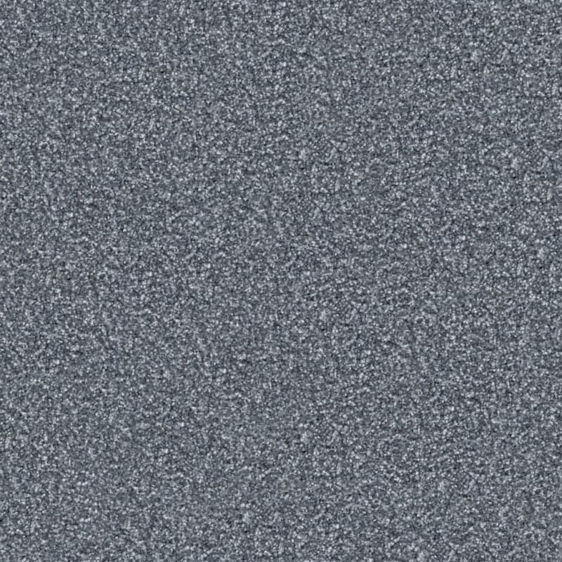 Tracker carpet by Masland