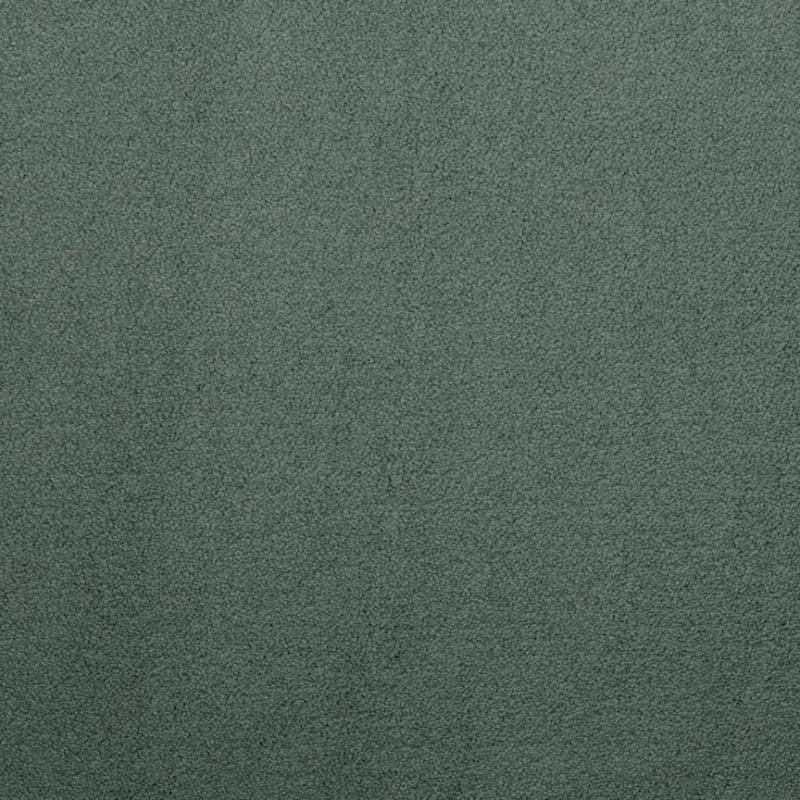 Silk Touch carpet by Masland