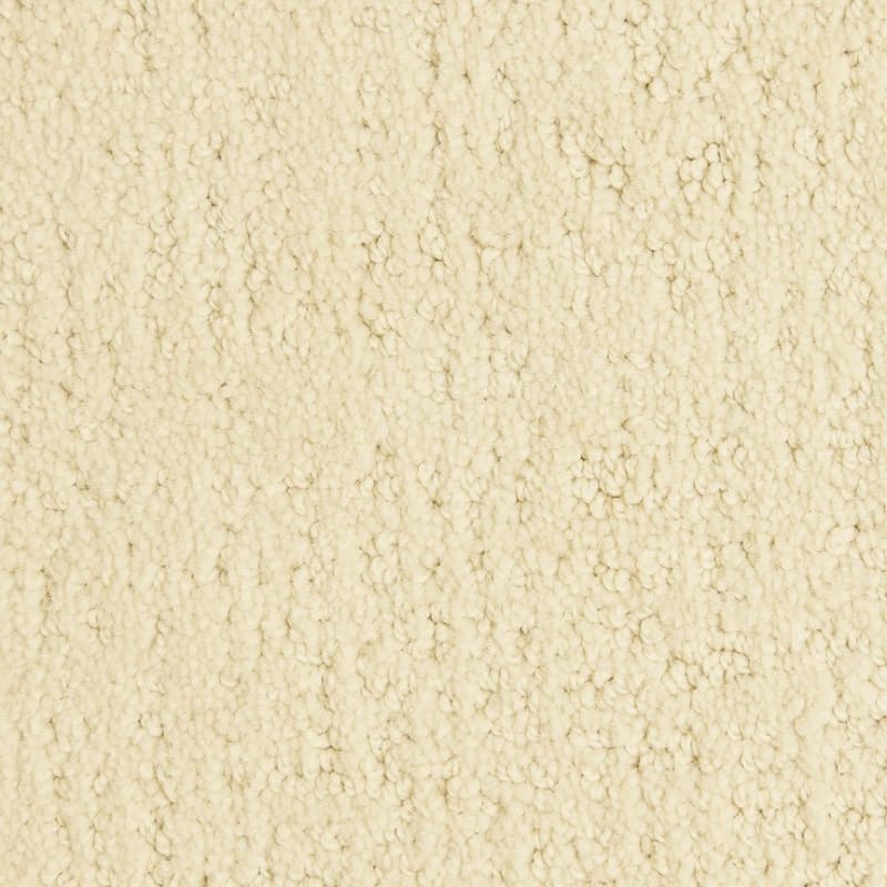 Santa Barbara carpet by Masland