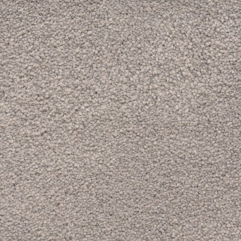 Ravishing carpet by Masland