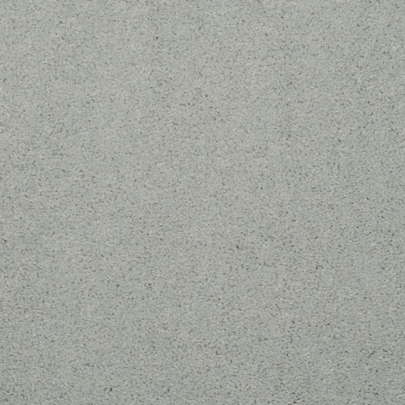 Embrace carpet by Masland