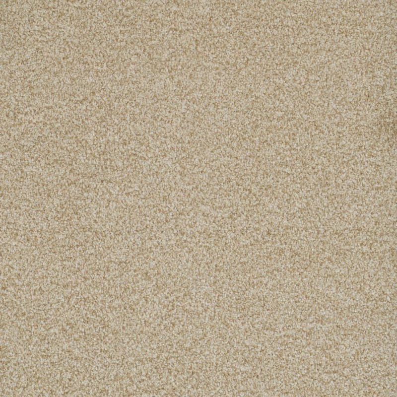 Boca Raton carpet by Masland