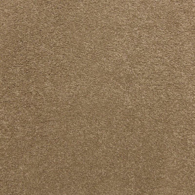 Knockout carpet by Masland