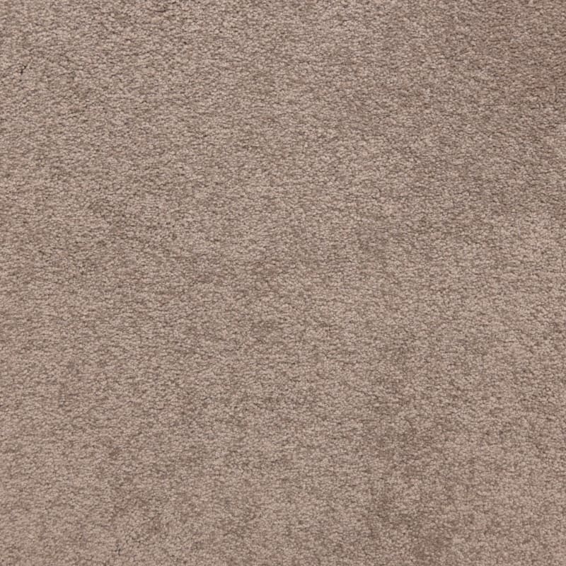 Knockout carpet by Masland