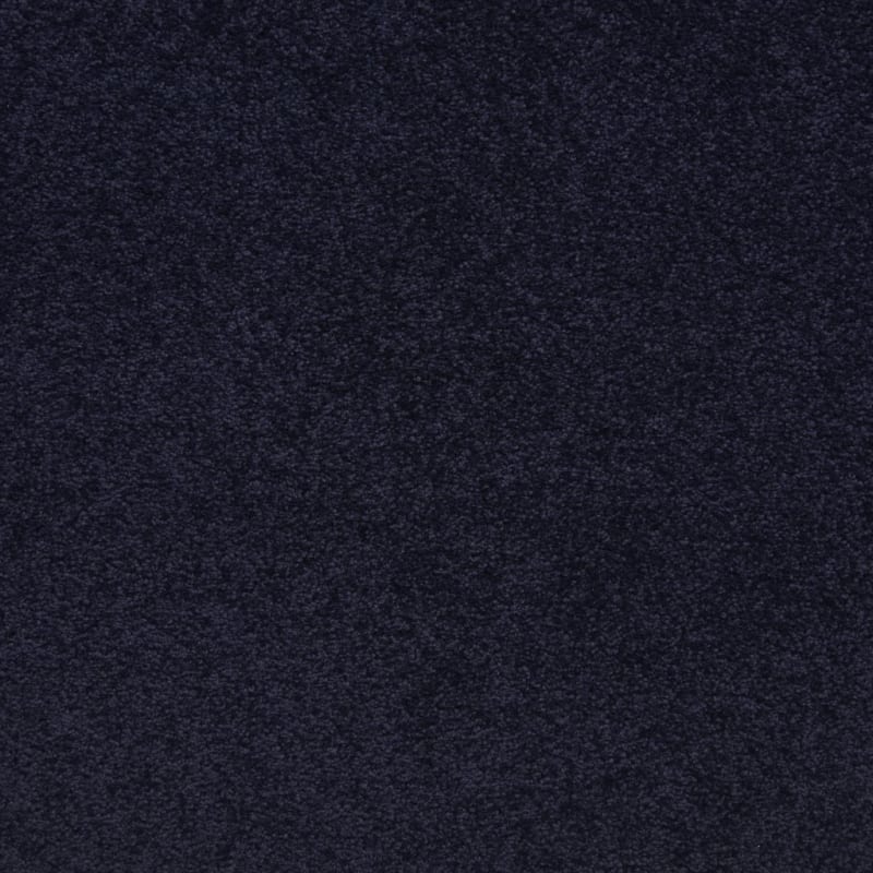 Knockout carpet by Masland