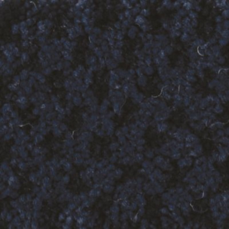 Seurat carpet by Masland
