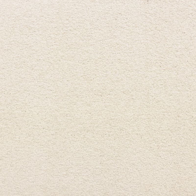 Knockout carpet by Masland