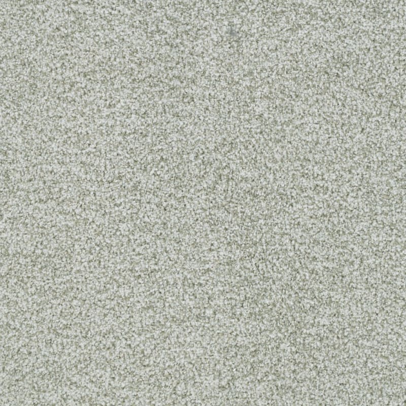 St. Augustine carpet by Masland