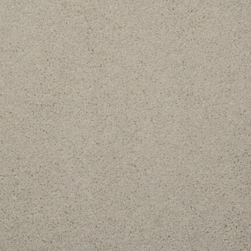 Embrace carpet by Masland