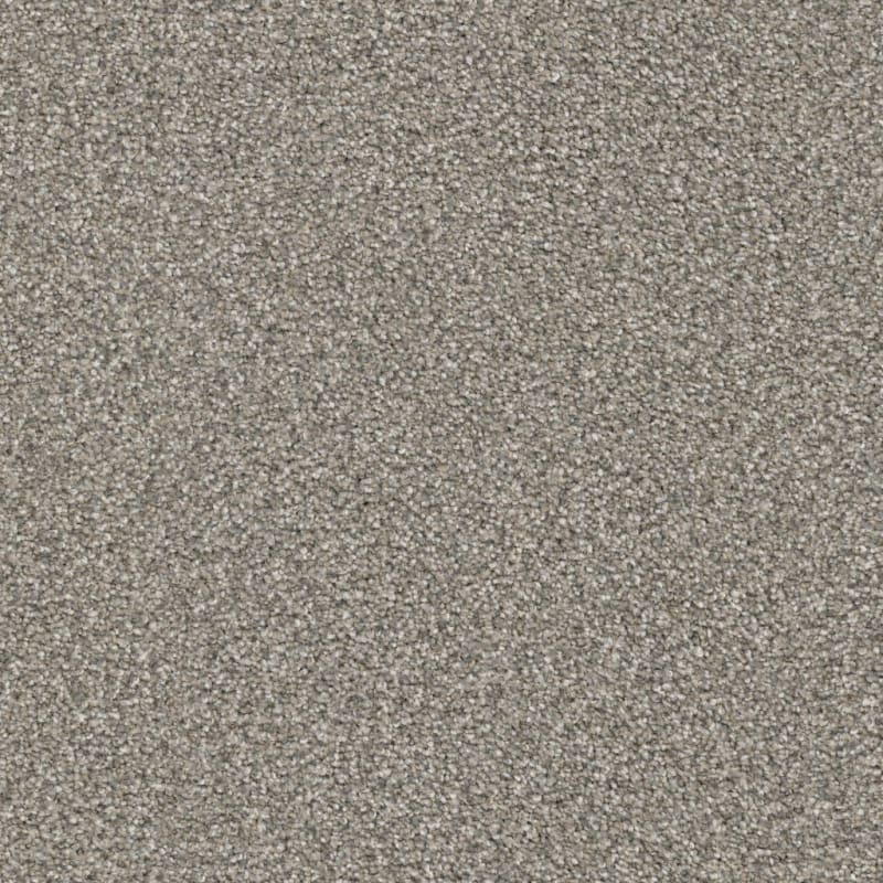 Tracker carpet by Masland