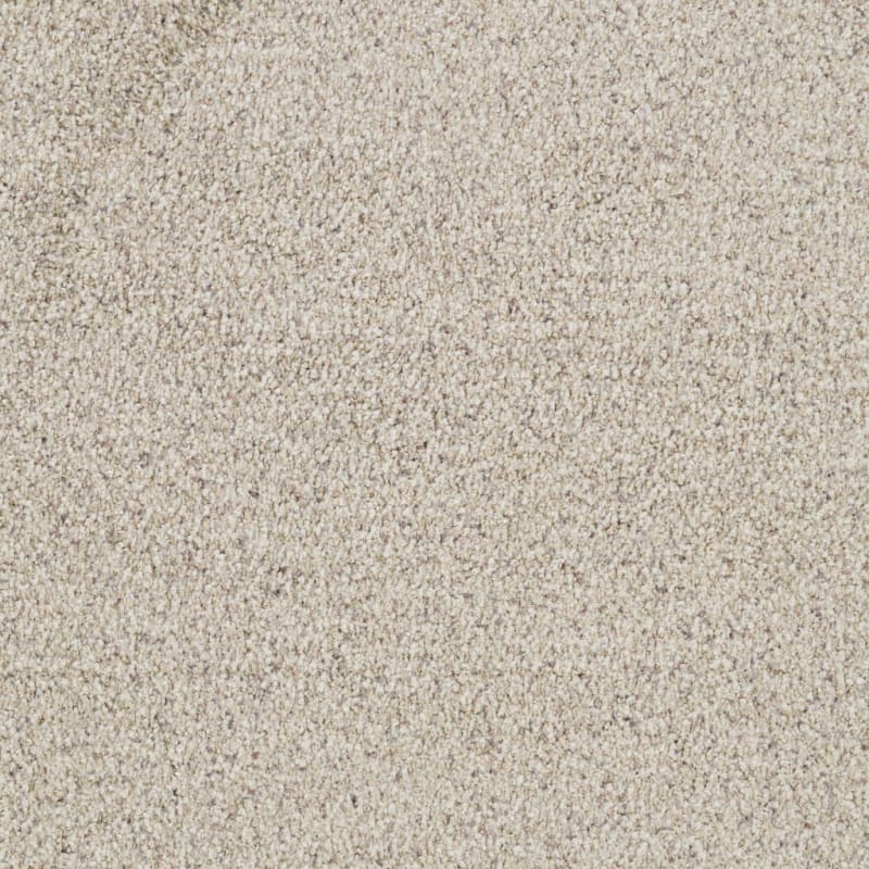 St. Augustine carpet by Masland