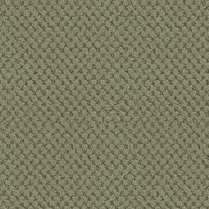 La Parade carpet by Masland