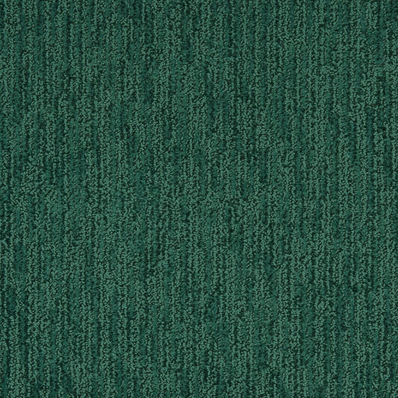 Mesa Bella carpet by Masland