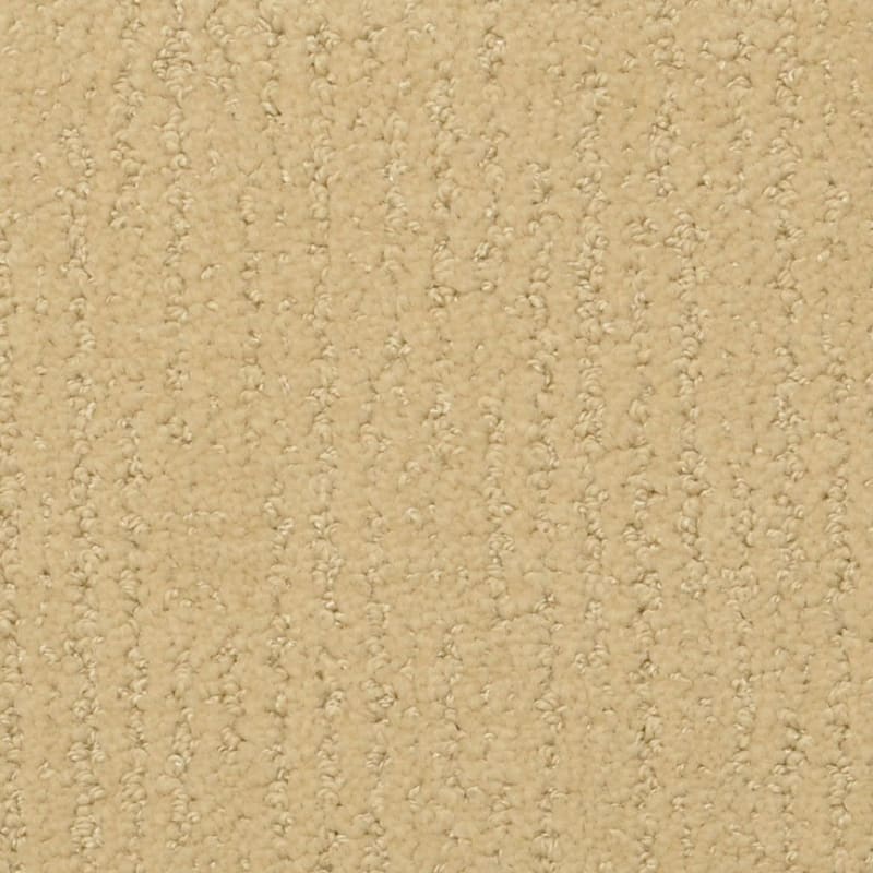 Nature'S Essence carpet by Masland