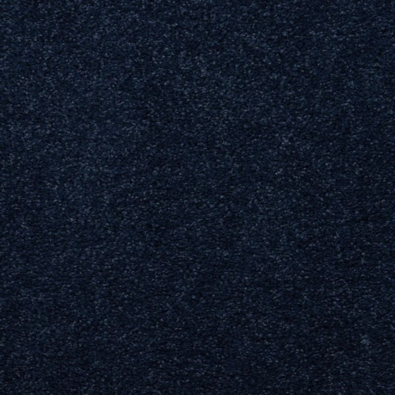 Embrace carpet by Masland
