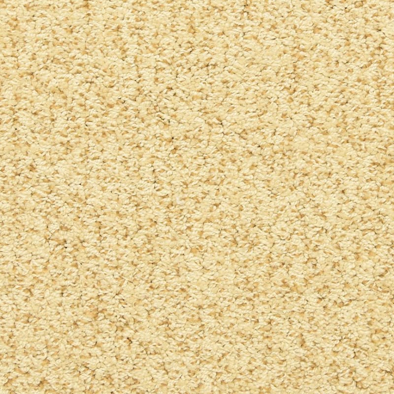 Sea Grass carpet by Masland