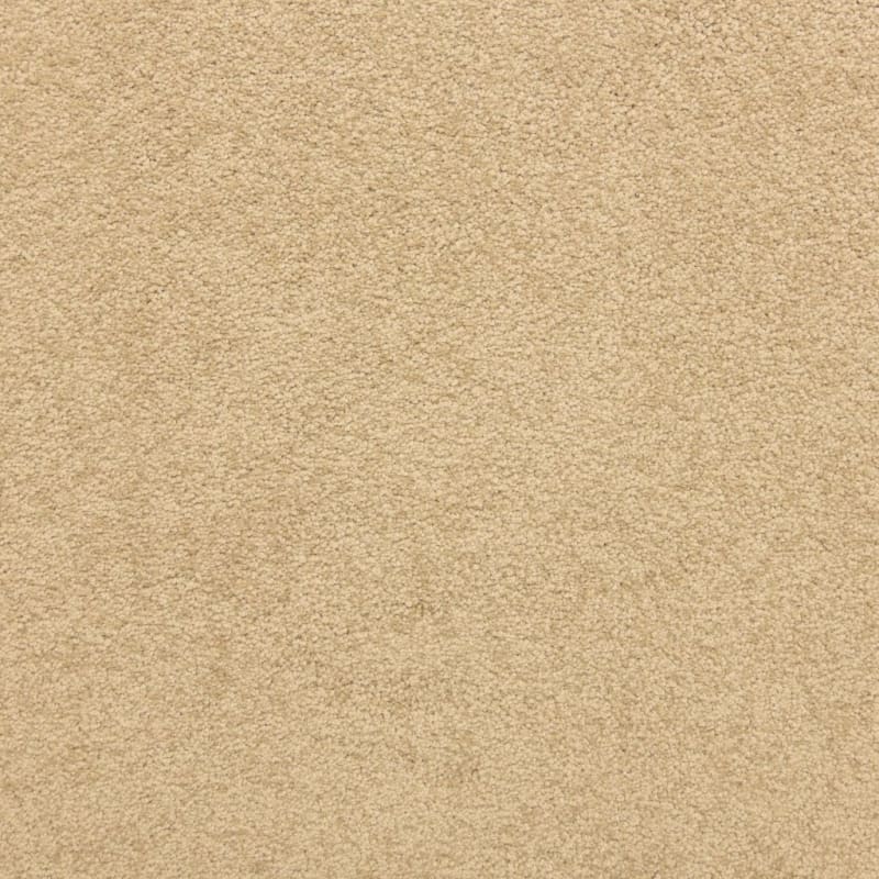 Knockout carpet by Masland