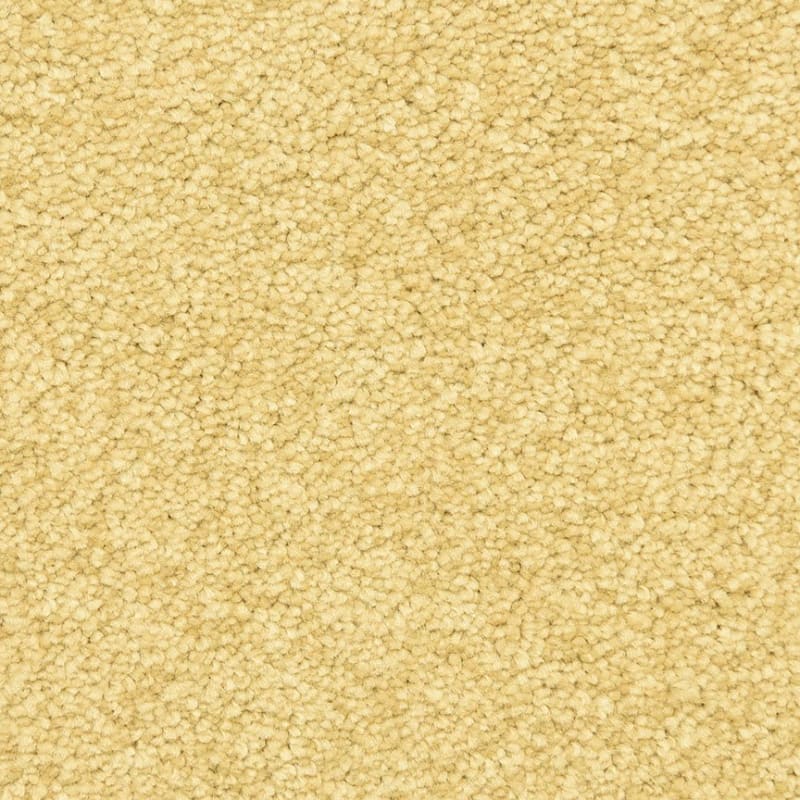 Morgan Bay carpet by Masland