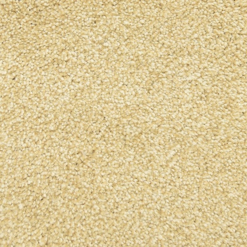 Delray carpet by Masland
