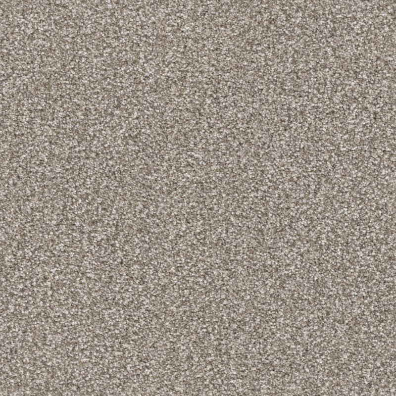 Tracker carpet by Masland
