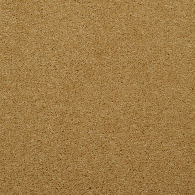 Embrace carpet by Masland